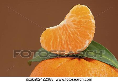 Piece of mandarine on a mandarine View Large Photo Image Stock Photo - Piece of mandarine on a mandarine. Fotosearch