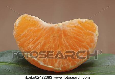 Piece of mandarine View Large Photo Image Stock Image - Piece of mandarine. Fotosearch
