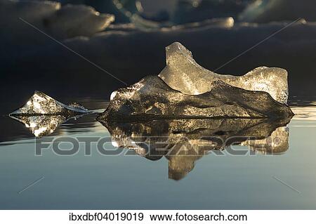"Pieces of ice in the evening light, reflection, Jokulsarlon glacier lagoon, Vatnajokull Glacier, East, Iceland, Europe" View Large Photo Image Stock Photo - "Pieces of ice in the evening light, reflection, Jokulsarlon glacier lagoon, Vatnajokull Glacier, East, Iceland, Europe". Fotosearch