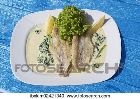 Pike-perch fillet on a bed of spinach with cream sauce View Large Photo Image Stock Image - Pike-perch fillet on a bed of spinach with cream sauce. Fotosearch