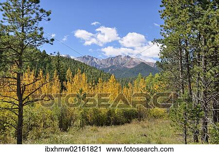 "Pikes Peak, view from Pikes Peak Highway, Colorado Springs, Colorado, USA" View Large Photo Image Stock Image - "Pikes Peak, view from Pikes Peak Highway, Colorado Springs, Colorado, USA". Fotosearch