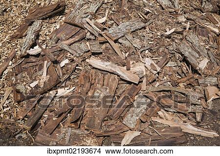 Picture - "Pile of cut cedar tree bark for recycling, Quebec, Canada, North America". Fotosearch