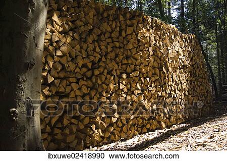 Pile of firewood View Large Photo Image Stock Image - Pile of firewood. Fotosearch