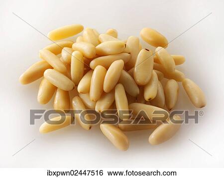 Pine nuts View Large Photo Image Stock Photograph - Pine nuts. Fotosearch