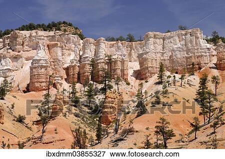 "Pines and rock towers of eroded sandstone, Bryce Canyon National Park, Utah, United States, North America" View Large Photo Image Stock Photo - "Pines and rock towers of eroded sandstone, Bryce Canyon National Park, Utah, United States, North America". Fotosearch