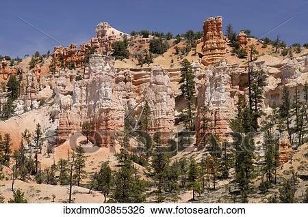 "Pines and rock towers of eroded sandstone, Bryce Canyon National Park, Utah, United States, North America" View Large Photo Image Stock Photograph - "Pines and rock towers of eroded sandstone, Bryce Canyon National Park, Utah, United States, North America". Fotosearch