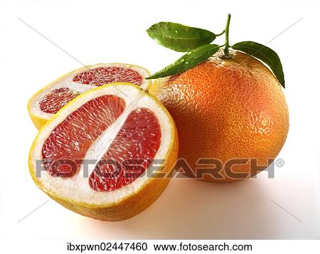 "Pink grapefruit, whole and cut" View Large Photo Image Stock Image - "Pink grapefruit, whole and cut". Fotosearch