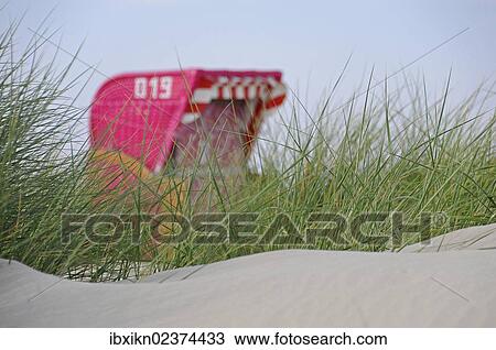 "Pink roofed wicker beach chair, sand dunes, North Sea, Amrum, Schleswig-Holstein, Germany, Europe" View Large Photo Image Stock Image - "Pink roofed wicker beach chair, sand dunes, North Sea, Amrum, Schleswig-Holstein, Germany, Europe". Fotosearch