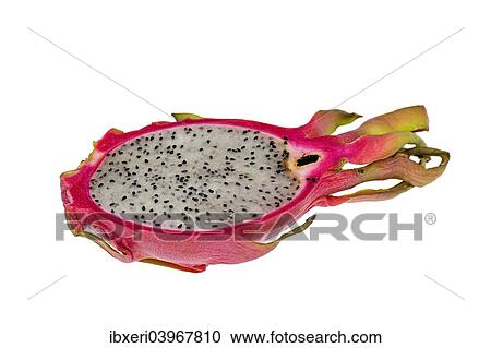 "Pitahaya or Dragon Fruit (Hylocereus undatus), halved" View Large Photo Image Stock Image - "Pitahaya or Dragon Fruit (Hylocereus undatus), halved". Fotosearch