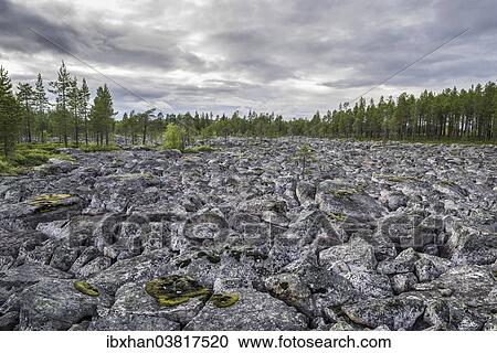 "Plain covered in rocks, Jokkmokk, Norrbotten County, Sweden, Europe" View Large Photo Image Stock Image - "Plain covered in rocks, Jokkmokk, Norrbotten County, Sweden, Europe". Fotosearch