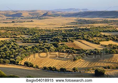 Stock Photography - "Plane around the conical hill of Las Plassas, Tuili, Giara di Gesturi, Medio Campidano, Sardinia, Italy Province, Europe". Fotosearch