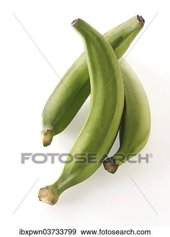 "Plantains, cooking bananas" View Large Photo Image Stock Photo - "Plantains, cooking bananas". Fotosearch