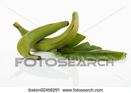 Plantains from Ecuador with a banana leaf View Large Photo Image Stock Image - Plantains from Ecuador with a banana leaf. Fotosearch