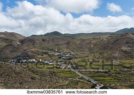 "Plantations near Santiago del Teide, volcanic landscape, Tenerife, Canary Islands, Spain, Europe" View Large Photo Image Stock Image - "Plantations near Santiago del Teide, volcanic landscape, Tenerife, Canary Islands, Spain, Europe". Fotosearch
