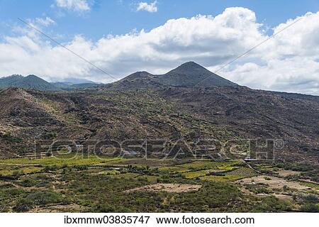 "Plantations near Santiago del Teide, volcanic landscape, Tenerife, Canary Islands, Spain, Europe" View Large Photo Image Stock Photo - "Plantations near Santiago del Teide, volcanic landscape, Tenerife, Canary Islands, Spain, Europe". Fotosearch