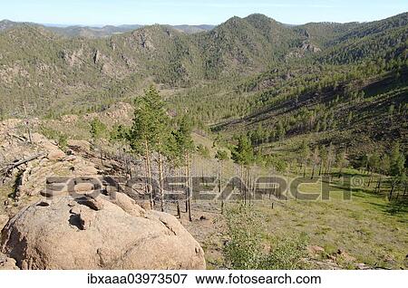 "Plateau, Merkit, Buryatia, Siberia, Russia, Europe" View Large Photo Image Stock Photo - "Plateau, Merkit, Buryatia, Siberia, Russia, Europe". Fotosearch
