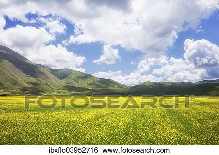 "Plateau of Piano Grande, Monti Sibillini, Umbria, Italy, Europe" View Large Photo Image Stock Photograph - "Plateau of Piano Grande, Monti Sibillini, Umbria, Italy, Europe". Fotosearch