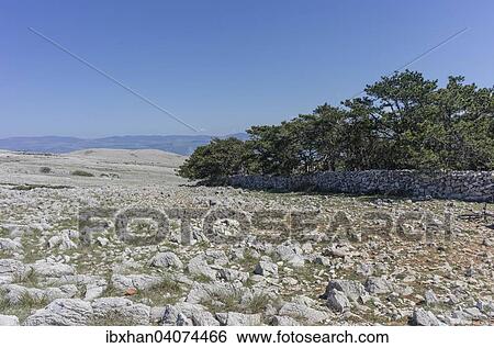 "Plateau of the Moon, Plato mjeseca, Baska, Krk, Primorje-Gorski Kotar County, Croatia, Europe" View Large Photo Image Stock Photograph - "Plateau of the Moon, Plato mjeseca, Baska, Krk, Primorje-Gorski Kotar County, Croatia, Europe". Fotosearch