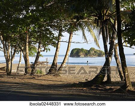 "Playa Cocles, Puerto Viejo de Talamanca, Costa Rica, Central America, North America" View Large Photo Image Stock Image - "Playa Cocles, Puerto Viejo de Talamanca, Costa Rica, Central America, North America". Fotosearch