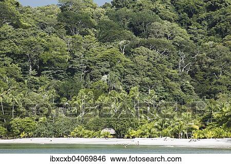 "Playa Mantas beach, Pacific Coast, Punta Leona, Costa Rica, North America" View Large Photo Image Stock Photograph - "Playa Mantas beach, Pacific Coast, Punta Leona, Costa Rica, North America". Fotosearch
