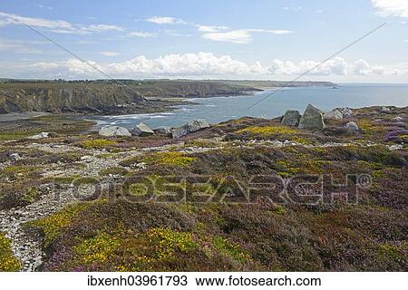 "Pointe de Dinan, Crozon peninsula, Departement Finistere, Brittany, France, Europe" View Large Photo Image Stock Image - "Pointe de Dinan, Crozon peninsula, Departement Finistere, Brittany, France, Europe". Fotosearch
