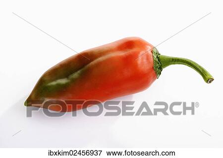 Pointed pepper (capsicum) View Large Photo Image Stock Photo - Pointed pepper (capsicum). Fotosearch