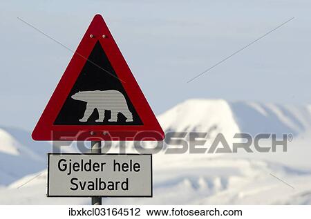 "Polar bear warning sign, Longyearbyen, Spitsbergen Island, Svalbard Archipelago, Svalbard and Jan Mayen, Norway, Europe" View Large Photo Image Stock Image - "Polar bear warning sign, Longyearbyen, Spitsbergen Island, Svalbard Archipelago, Svalbard and Jan Mayen, Norway, Europe". Fotosearch