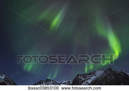 "Polar lights, Aurora borealis, Gimsoy, Lofoten, Norway, Europe" View Large Photo Image Stock Image - "Polar lights, Aurora borealis, Gimsoy, Lofoten, Norway, Europe". Fotosearch