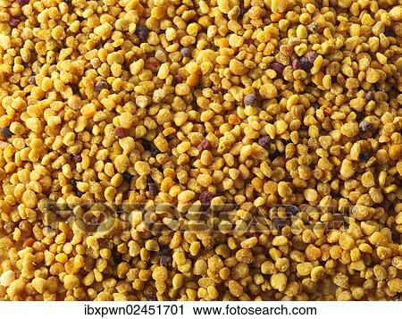 Stock Image - Pollen grains. Fotosearch