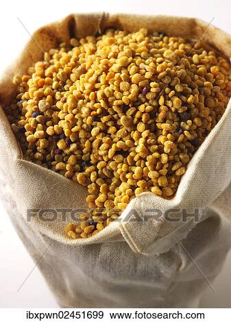 Pollen grains View Large Photo Image Stock Photo - Pollen grains. Fotosearch