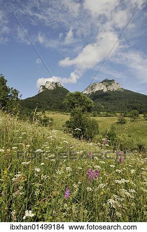 Picture - "Poludnove Skaly Mountain on the left and Velky Roszutek Mountain on the right, 1609m, Stefanova, Mala Fatra National Park, Slovakia, Europe". Fotosearch