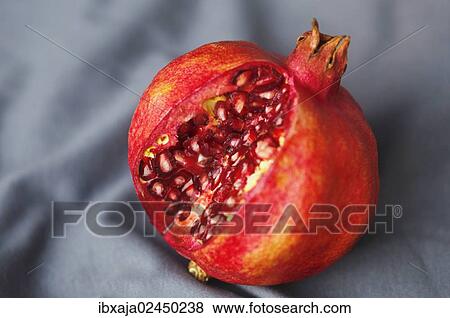 Pomegranate (Punica granatum) View Large Photo Image Stock Photo - Pomegranate (Punica granatum). Fotosearch