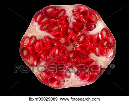 Stock Photo - "Pomegranate (Punica granatum), cross-section of fruit". Fotosearch
