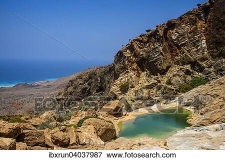 "Pond at the coast, Homhil protected area, island of Socotra, Yemen, Asia" View Large Photo Image Stock Photo - "Pond at the coast, Homhil protected area, island of Socotra, Yemen, Asia". Fotosearch