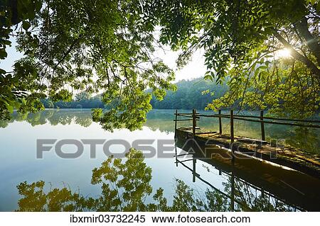 "Pond in the morning light, Queyssac, Departement Dordogne, Aquitaine, France, Europe" View Large Photo Image Stock Photography - "Pond in the morning light, Queyssac, Departement Dordogne, Aquitaine, France, Europe". Fotosearch