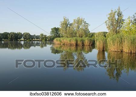 "Pond landscape, Herbslebener Teiche nature reserve, Herbsleben, Thuringia, Germany, Europe" View Large Photo Image Stock Photograph - "Pond landscape, Herbslebener Teiche nature reserve, Herbsleben, Thuringia, Germany, Europe". Fotosearch