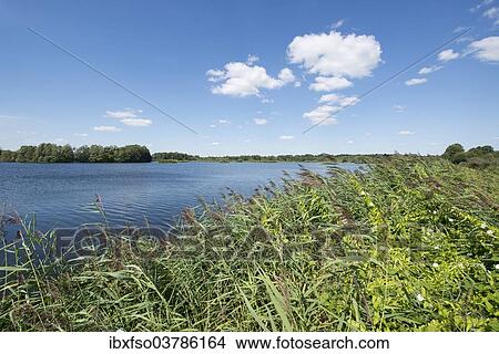 "Pond landscape, Meissendorf Lakes Nature Reserve, Meissendorf, Lower Saxony, Germany, Europe" View Large Photo Image Picture - "Pond landscape, Meissendorf Lakes Nature Reserve, Meissendorf, Lower Saxony, Germany, Europe". Fotosearch