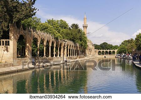 Picture - "Pond of Abraham with Rizvaniye Mosque, Balikligol pond and Rizvaniye Camii, Sanliurfa, Urfa, Sanliurfa, Southeastern Anatolia Region, Anatolia, Turkey, Asia". Fotosearch