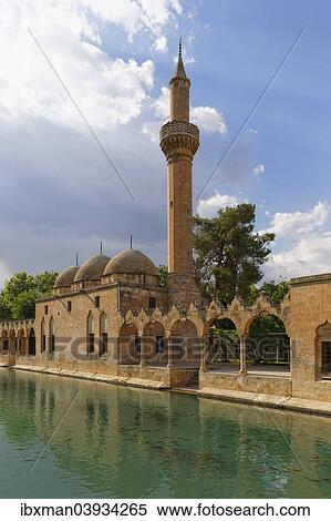 "Pond of Abraham with Rizvaniye Mosque, Balikligol pond and Rizvaniye Camii, Sanliurfa, Urfa, Sanliurfa, Southeastern Anatolia Region, Anatolia, Turkey, Asia" View Large Photo Image Stock Photography - "Pond of Abraham with Rizvaniye Mosque, Balikligol pond and Rizvaniye Camii, Sanliurfa, Urfa, Sanliurfa, Southeastern Anatolia Region, Anatolia, Turkey, Asia". Fotosearch