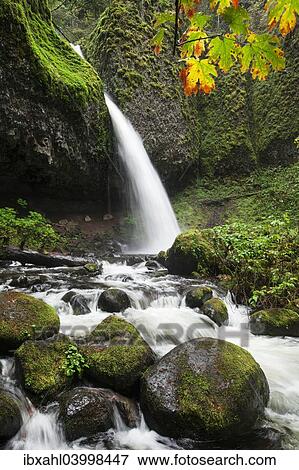 "Ponytail Falls, Columbia River Gorge, Portland, Oregon, United States, North America" View Large Photo Image Stock Photo - "Ponytail Falls, Columbia River Gorge, Portland, Oregon, United States, North America". Fotosearch