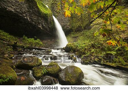 "Ponytail Falls, Columbia River Gorge, Portland, Oregon, United States, North America" View Large Photo Image Stock Photo - "Ponytail Falls, Columbia River Gorge, Portland, Oregon, United States, North America". Fotosearch