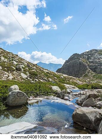 "Pools in the mountains, river Golo, Parc naturel regional de Corse, Regional Natural Park of Corsica, Corsica, France, Europe" View Large Photo Image Stock Image - "Pools in the mountains, river Golo, Parc naturel regional de Corse, Regional Natural Park of Corsica, Corsica, France, Europe". Fotosearch