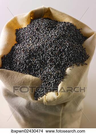 Poppy seeds View Large Photo Image Picture - Poppy seeds. Fotosearch