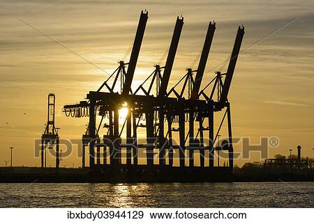 "Port cranes in sunset, Burchardkai container terminal, Port of Hamburg, Hamburg, Germany, Europe" View Large Photo Image Stock Photo - "Port cranes in sunset, Burchardkai container terminal, Port of Hamburg, Hamburg, Germany, Europe". Fotosearch