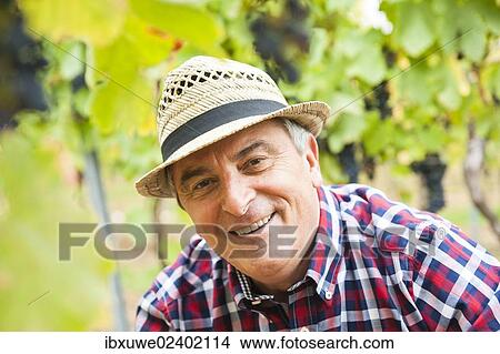 "Portrait of a winemaker or vintner in his vineyard, Rhineland-Palatinate, Germany, Europe" View Large Photo Image Picture - "Portrait of a winemaker or vintner in his vineyard, Rhineland-Palatinate, Germany, Europe". Fotosearch