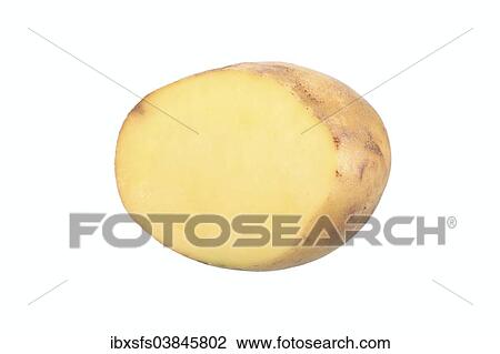 "Potato, """"Ackersegen"""" variety, cut in half" View Large Photo Image Stock Image - "Potato, """"Ackersegen"""" variety, cut in half". Fotosearch