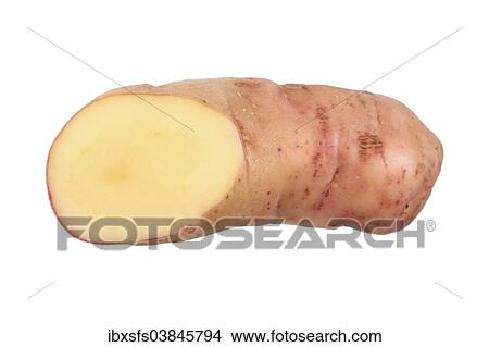 Picture - "Potato, """"Angeliter Tannenzapfen"""" variety, cut in half". Fotosearch