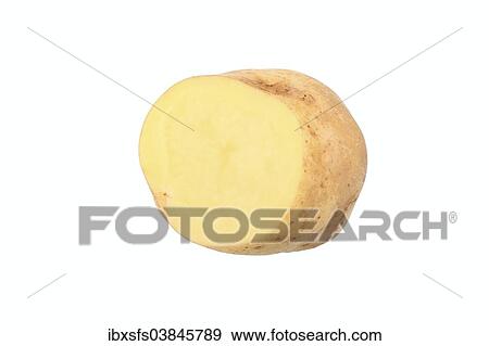 "Potato, """"Augsburger Gold"""" variety, cut in half" View Large Photo Image Stock Photo - "Potato, """"Augsburger Gold"""" variety, cut in half". Fotosearch