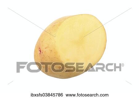 "Potato, Augusta variety, cut in half" View Large Photo Image Stock Photograph - "Potato, Augusta variety, cut in half". Fotosearch
