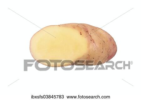 "Potato, """"Bamberger Hornchen"""" variety, cut in half" View Large Photo Image Stock Image - "Potato, """"Bamberger Hornchen"""" variety, cut in half". Fotosearch